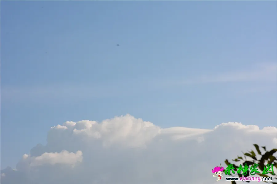 DSC_4299.webp