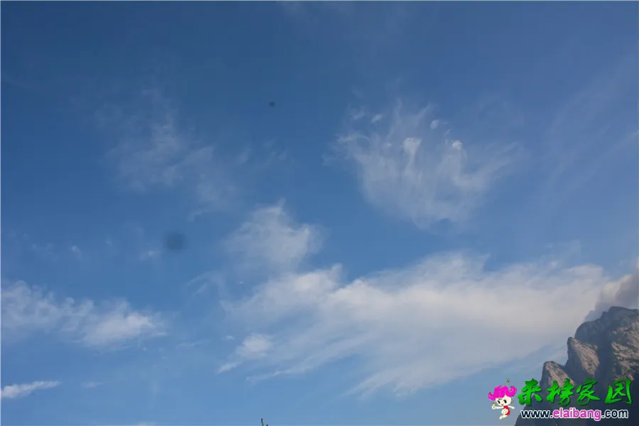 DSC_4308.webp