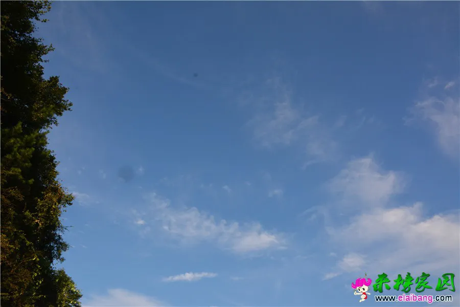DSC_4309.webp
