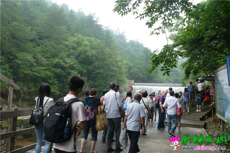 游客 (2).webp
