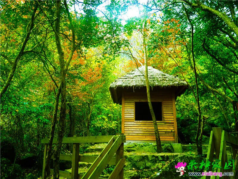 茅庐 (2).webp