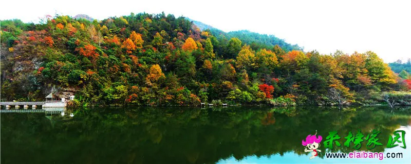 天峡红叶.webp