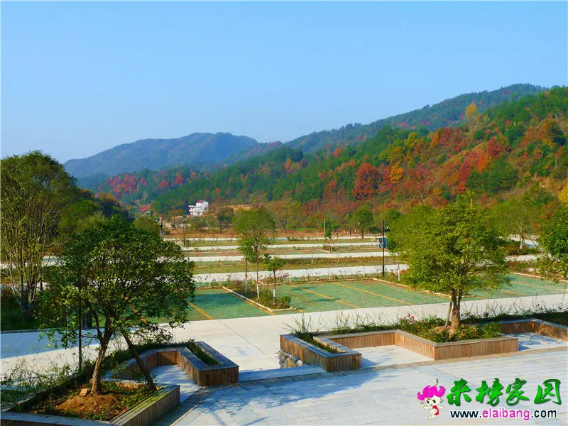 天峡秋景6.webp