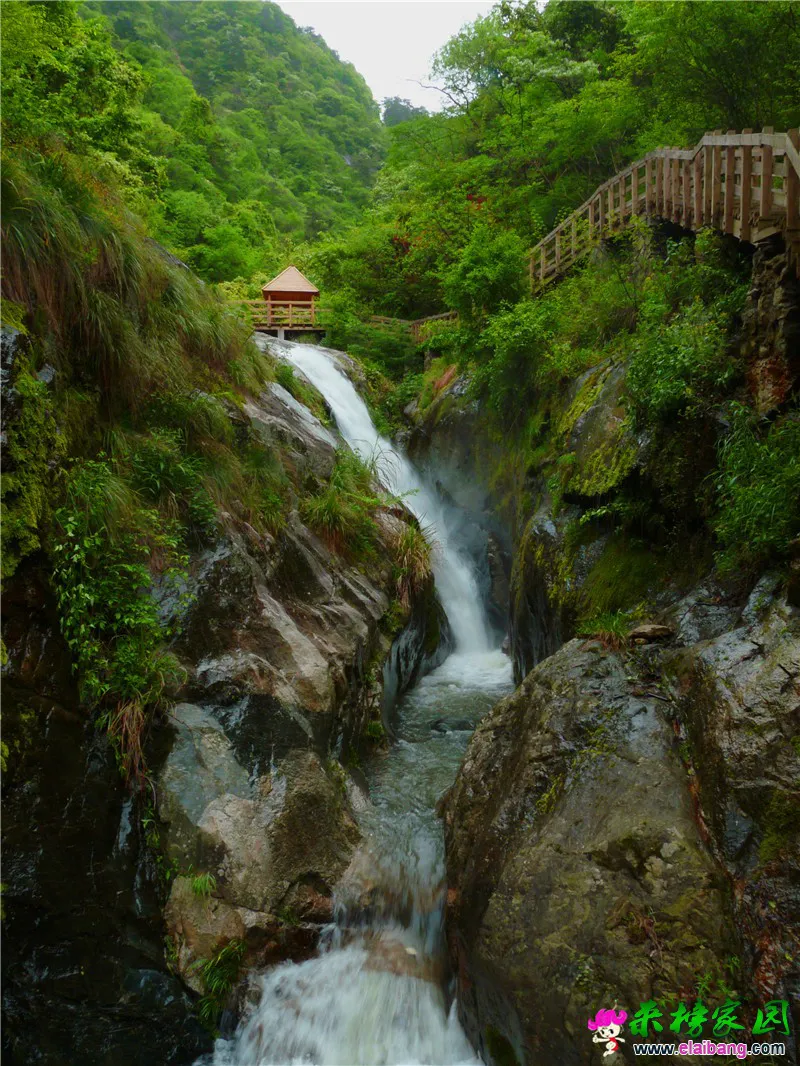 天峡栈道.webp