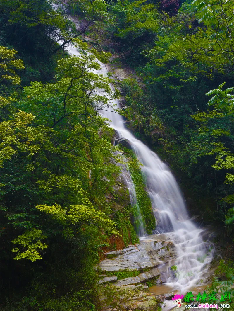 银蛇瀑.webp