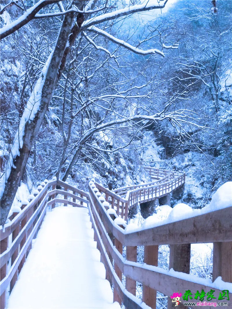 栈道雪景 (1).webp