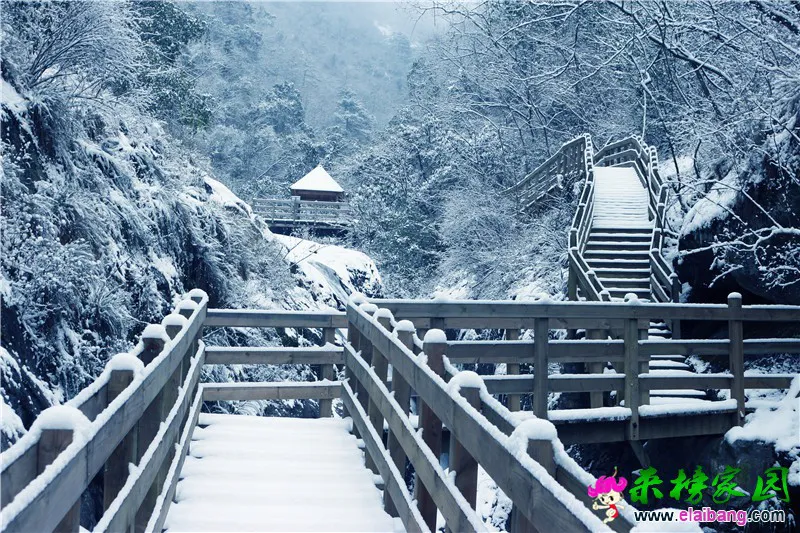 栈道雪景.webp