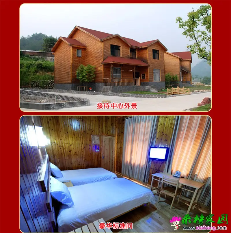客厅 (15).webp