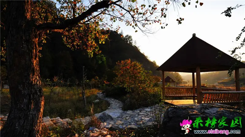 天峡景区4.webp