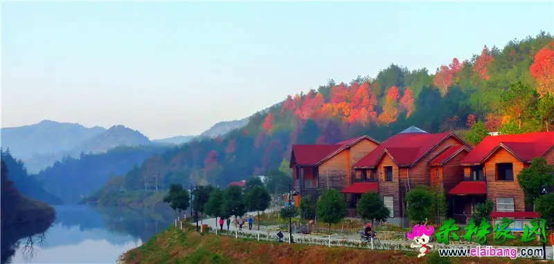 天峡秋景5.webp