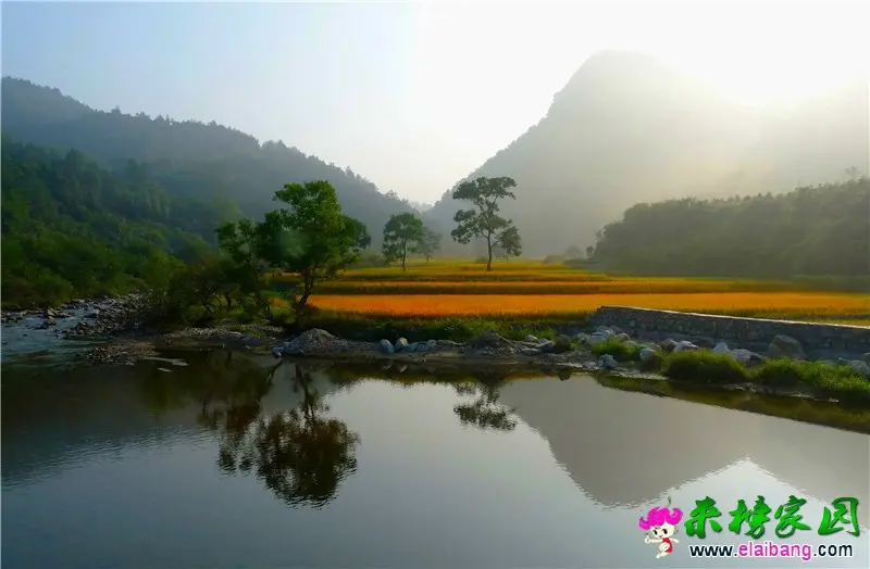 天峡田园秋色_副本.webp