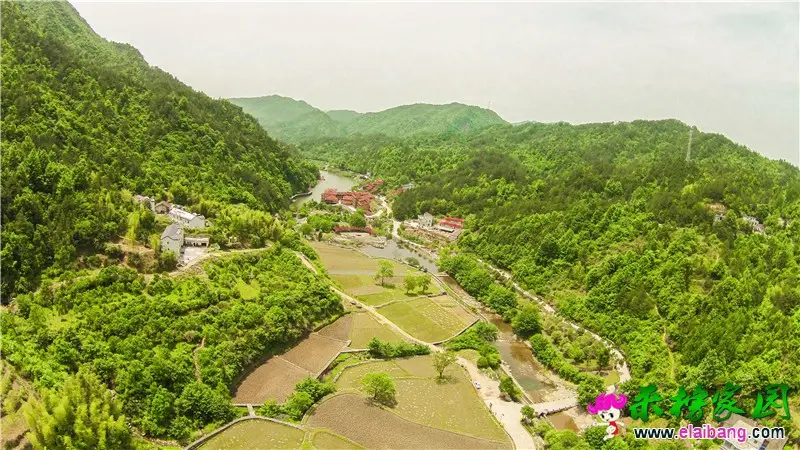 田园风光 (3).webp