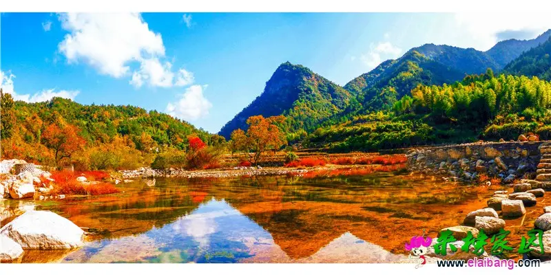 田园秋色_副本.webp