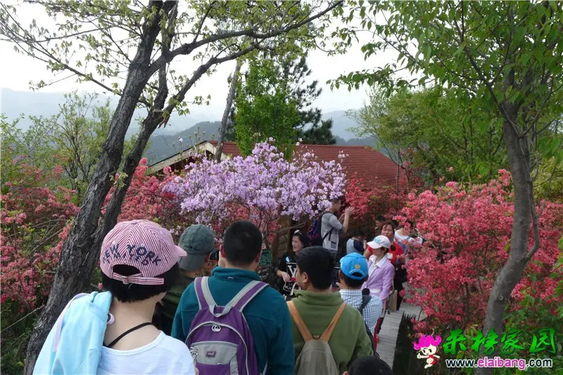 P1350407.webp