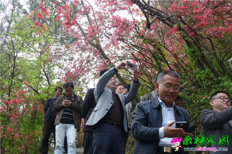 P1350514.webp