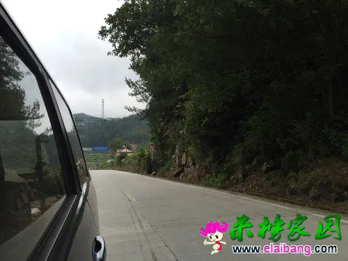 image.webp