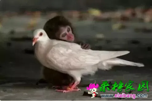 640.webp (7).webp