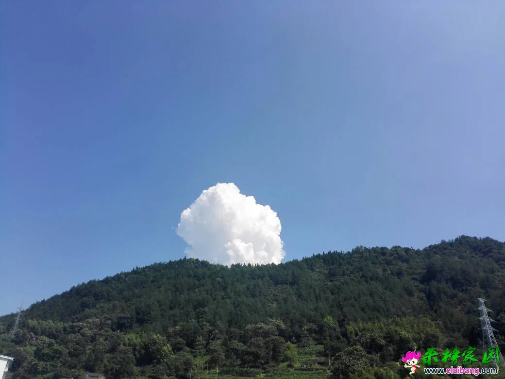150828ufbaef5iqzemqvnv.webp