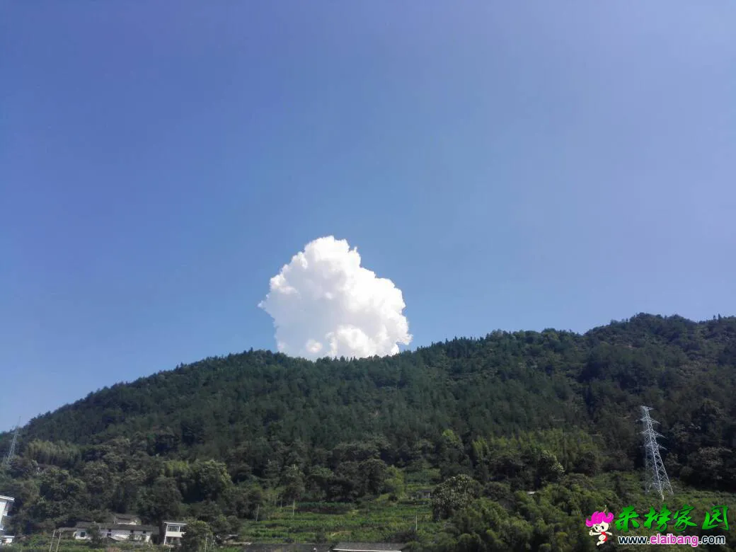 150829e6nojf3fbvjib6ww.webp