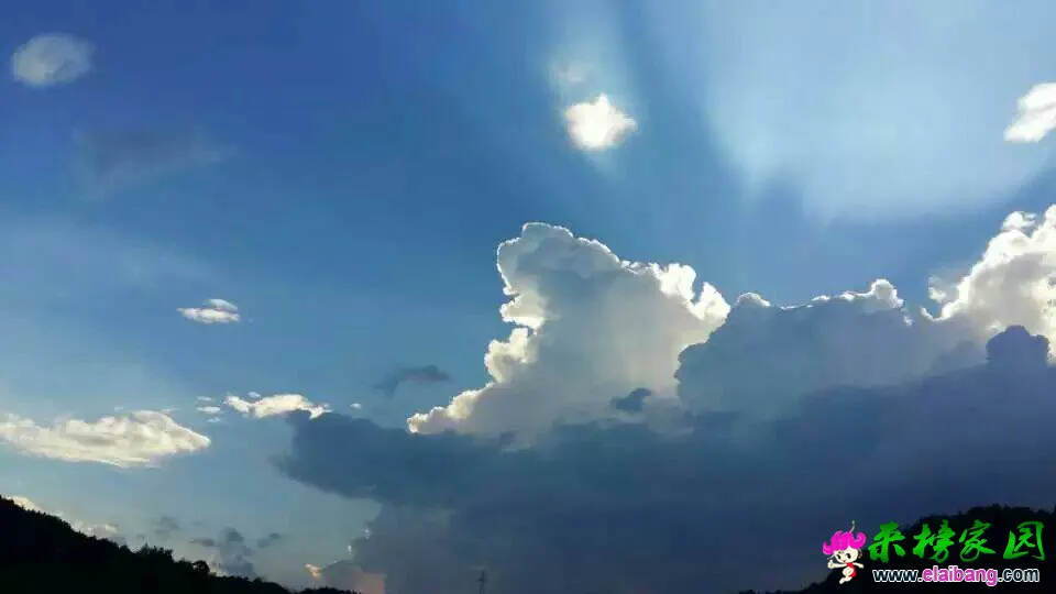213019iaoj1oamopxz3nxj.webp