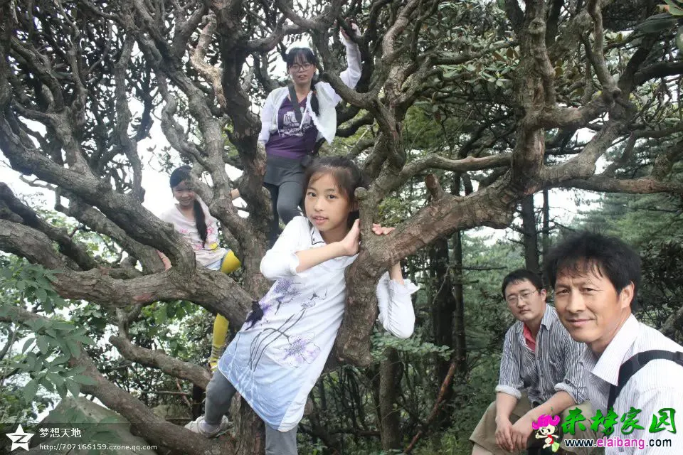 psb (19).webp
