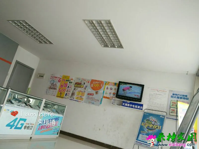 145036ym988q808p1q92qo.webp