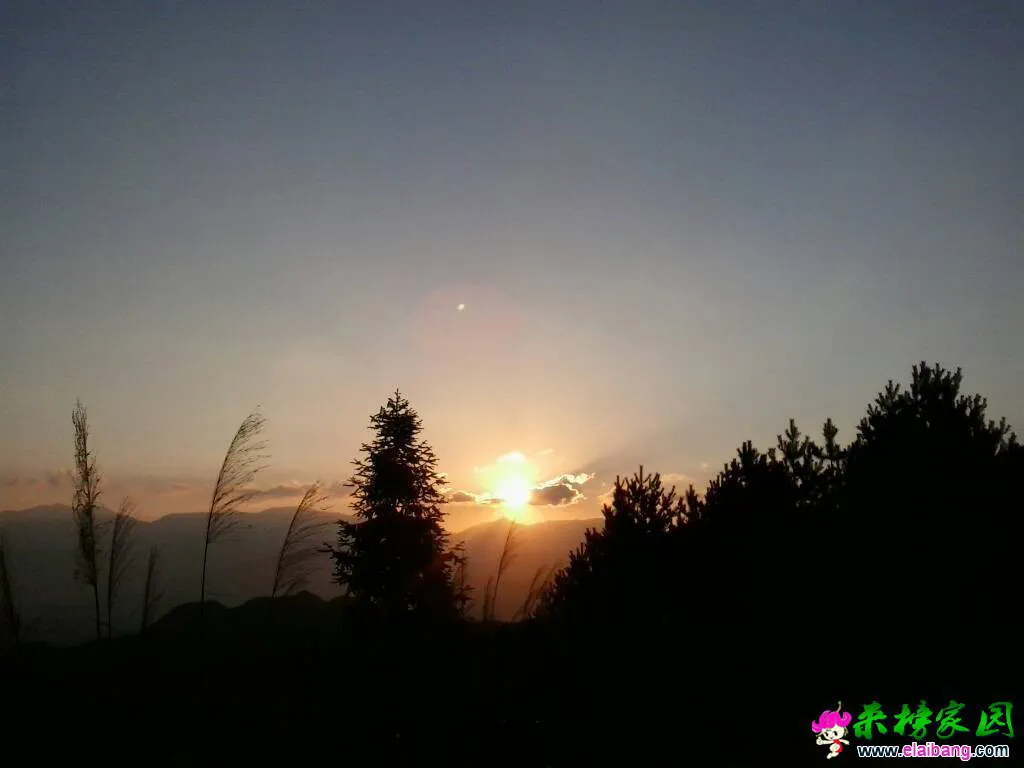 223918urfrsdgdddngoz8z.webp