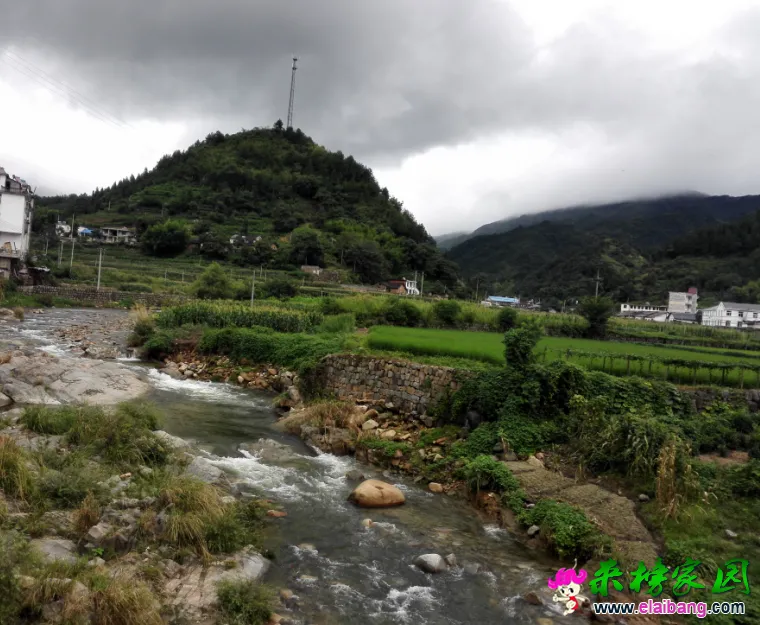 QQ截图20150811110542.webp