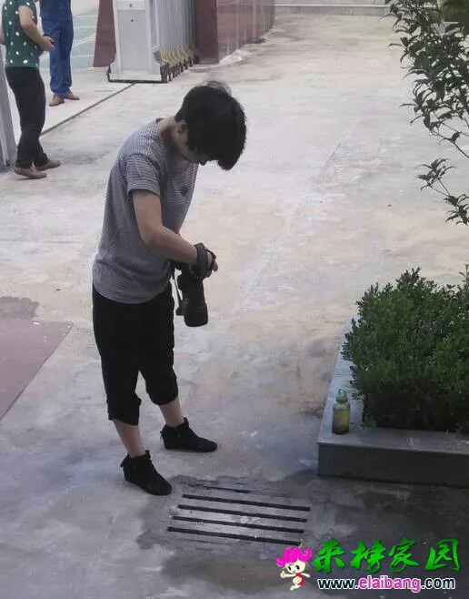 122625vseca5cw880uyjxu.webp