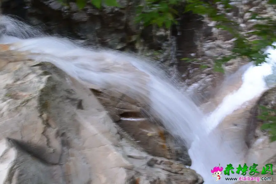 [000484].webp