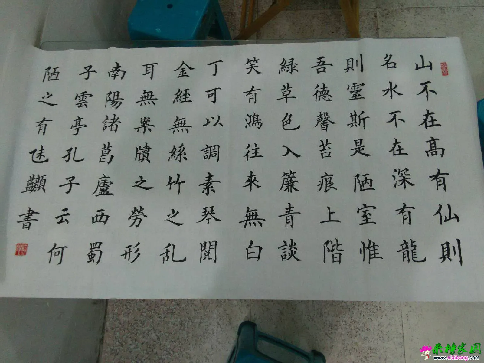 105152fc5zo2obtbhcwe6m.webp