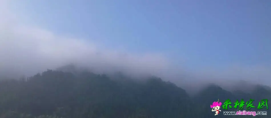 QQ图片20150814152616.webp