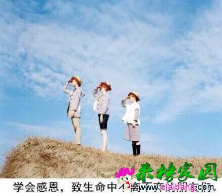 2000.webp