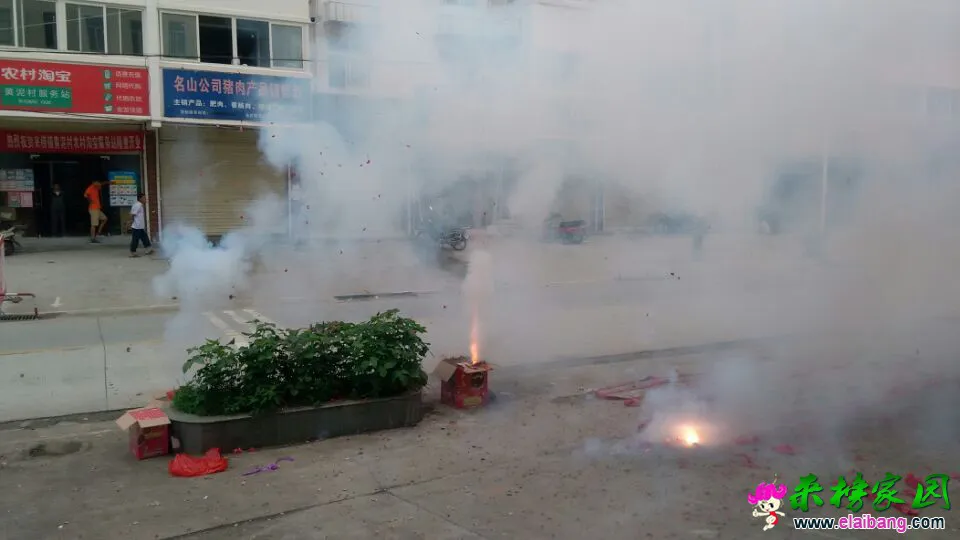QQ图片20150817082558.webp