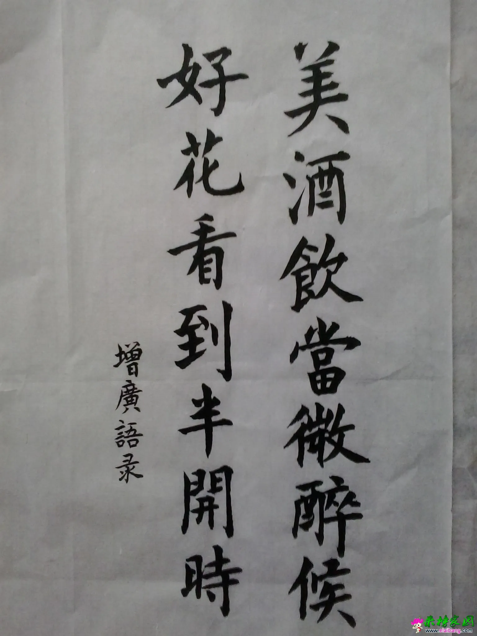饮酒看花