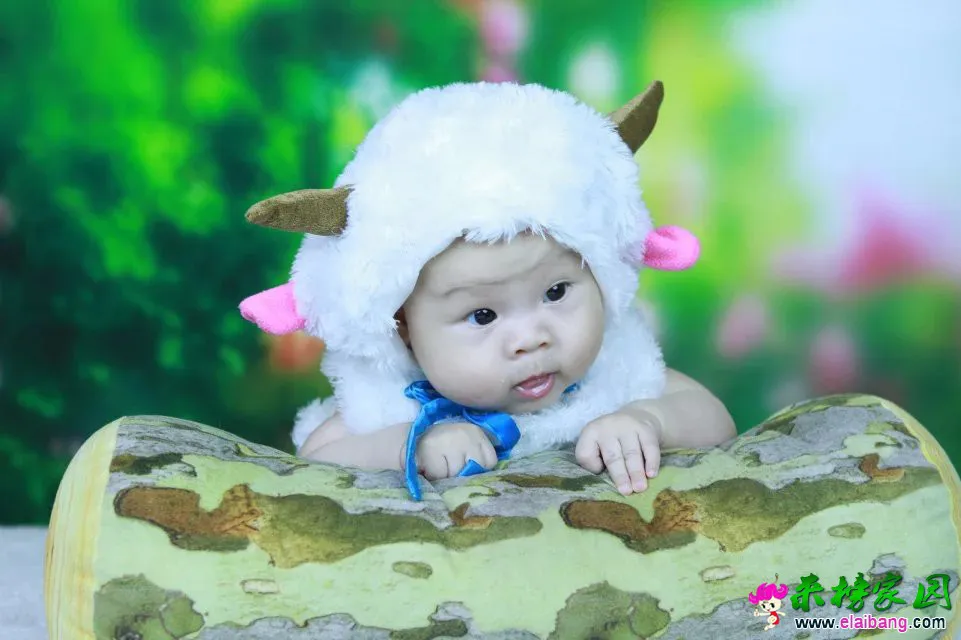 psb (24).webp