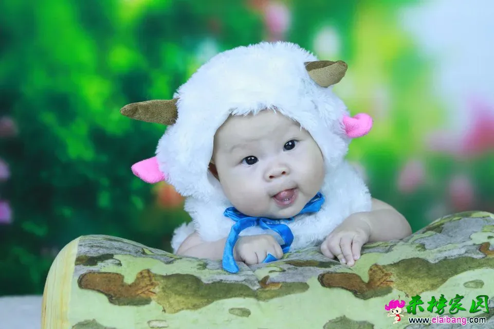 psb (25).webp