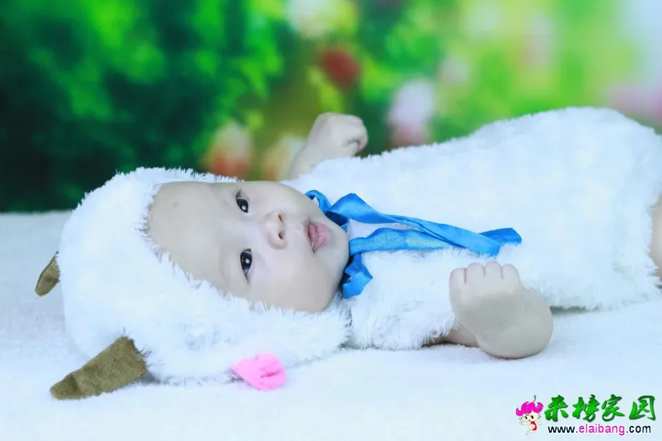 psb (26).webp