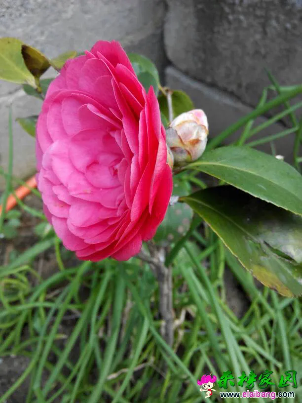 073123qth7e7orhjwqjoeq.webp