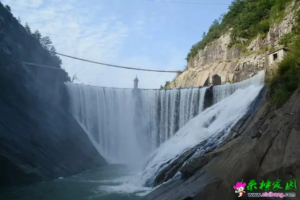 psb (18).webp