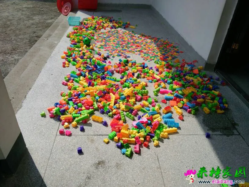 133110y2tj2p1ff11jlf22.webp
