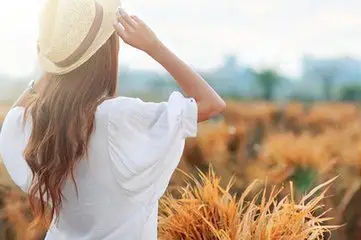 t016c7fd54ed855eea8.webp