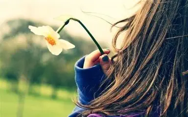 t0192f0a18c62985f92.webp