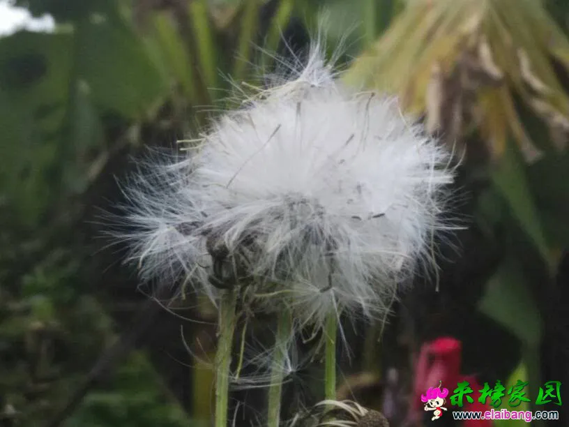 065143wj78e88j8ayizypy.webp