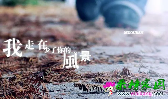 4.webp