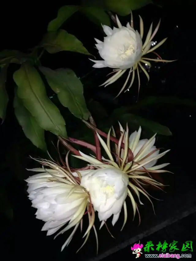 110413stn70ctx55ytcbyq.webp