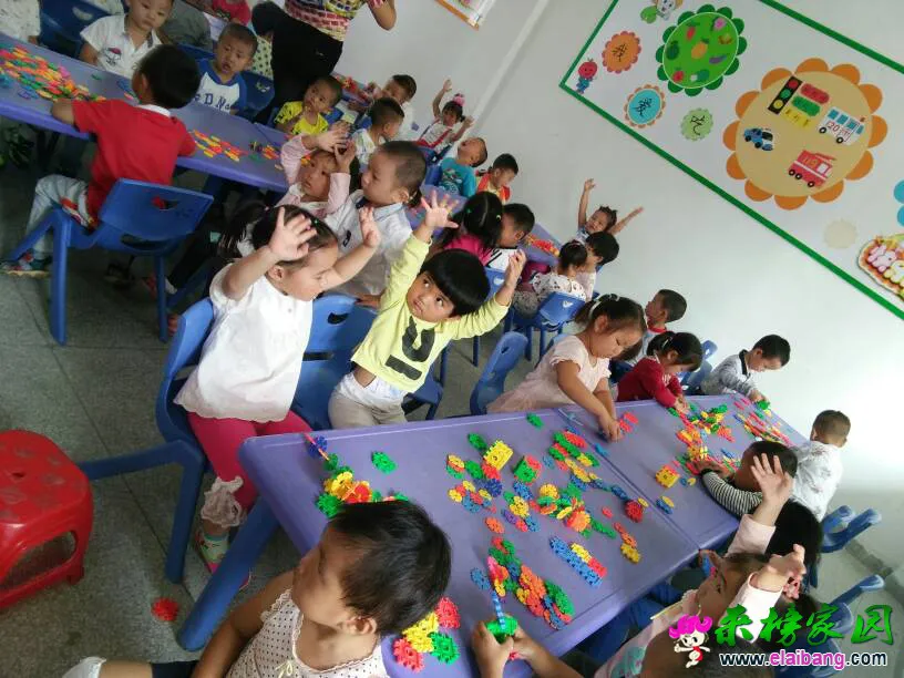 184045qr51qbwpgbr1hwbz.webp