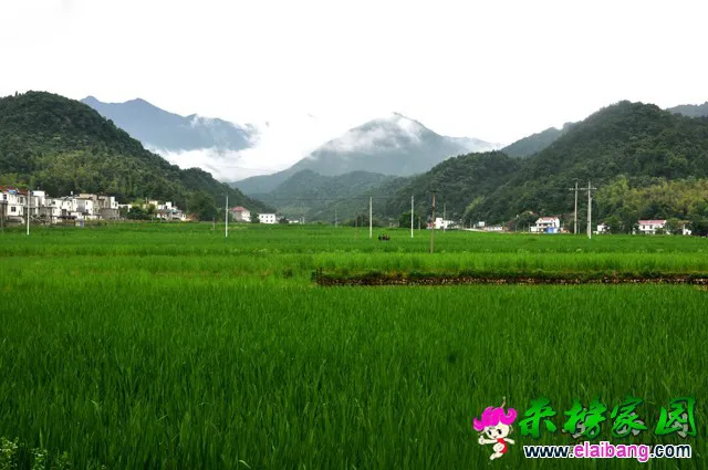 2015090717120968.webp