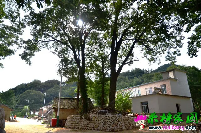 2015090717203141.webp