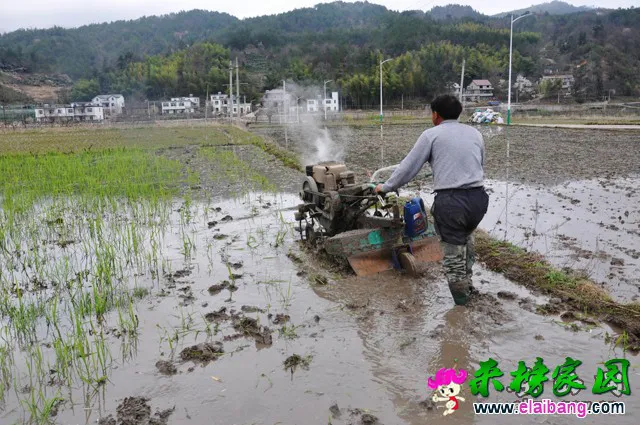 2015090717294386.webp